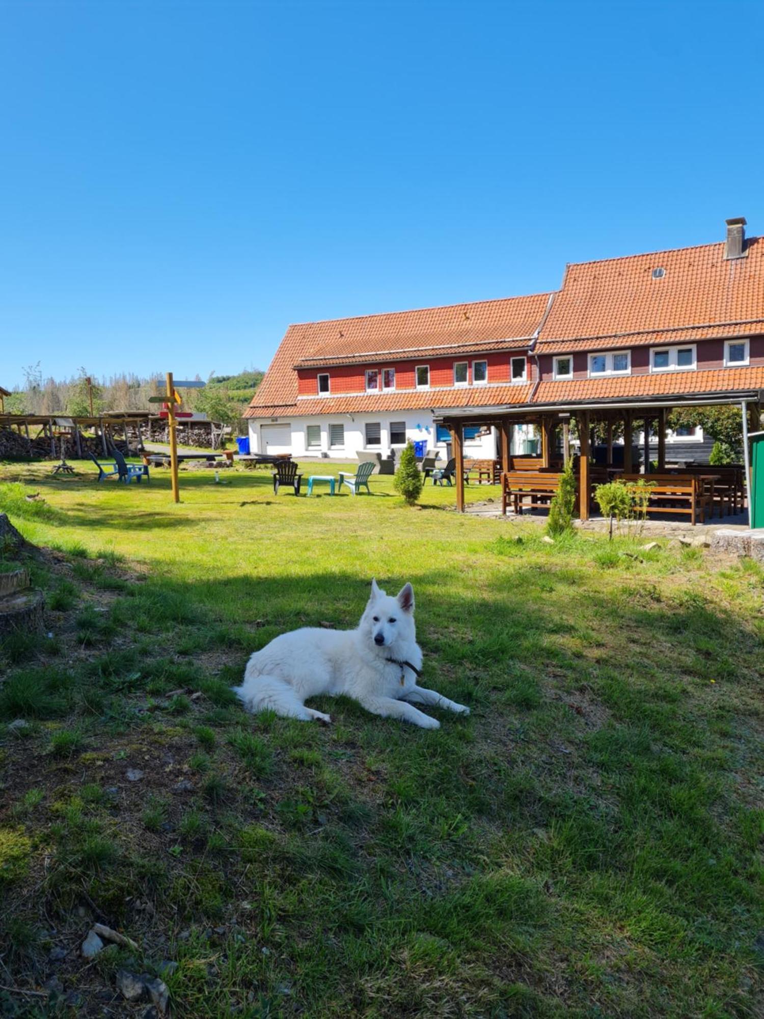Welt Lodge อัลเทอเนา ภายนอก รูปภาพ